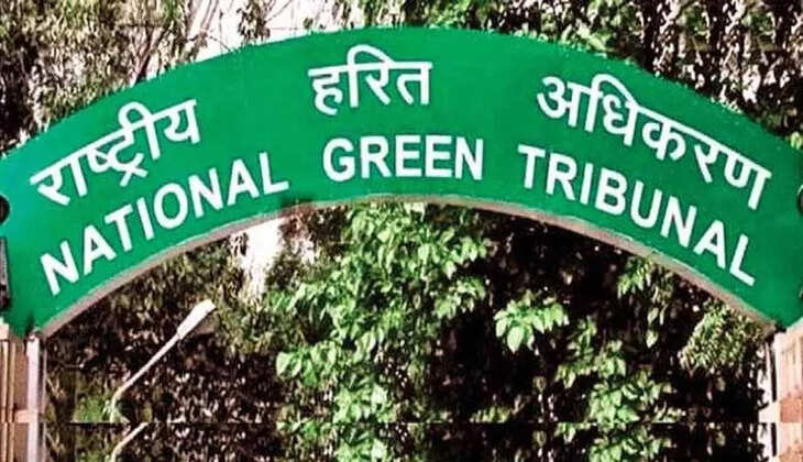 हजारीबाग में कोयला परिवहन मामले पर NGT सख्त, जवाब नहीं देने पर राज्य सरकार को लगाई फटकार