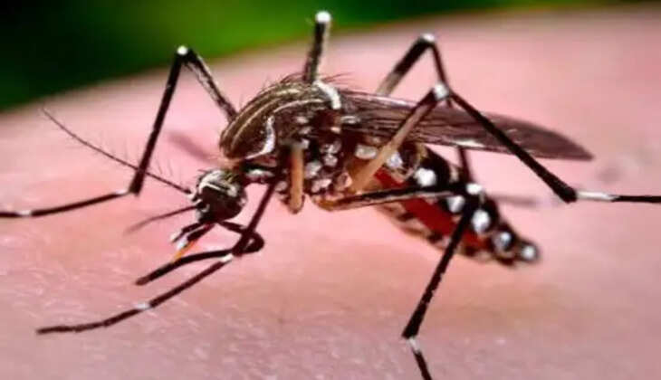 फाइल फोटो 