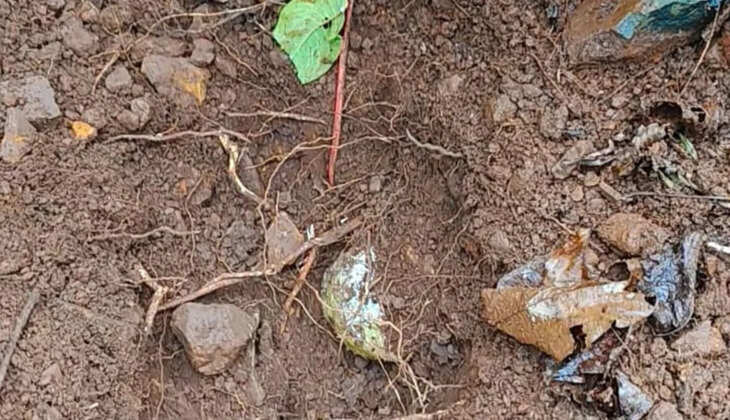 सारंडा के जंगलों में सुरक्षाबलों को मिली बड़ी सफलता, नक्सली डम्प को किया ध्वस्त, 14 IED बरामद