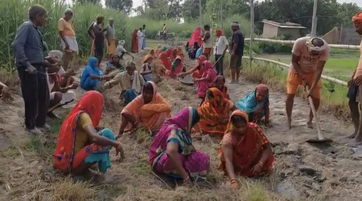 Bihar