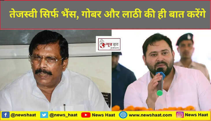 anand mohan or tejashwi yadav 