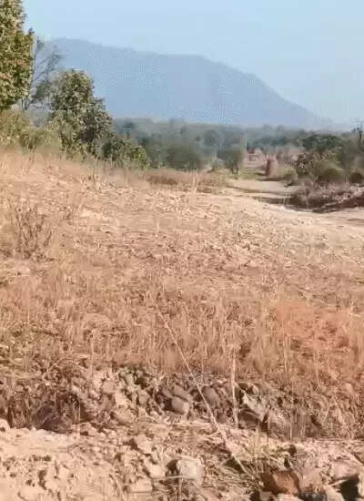 भारी मात्रा में विस्फोटक का इस्तेमाल, सैकड़ों अवैध खदानें ध्वस्त