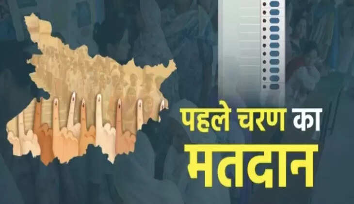 वोटर आईडी नहीं है? कोई बात नहीं! चुनाव आयोग ने दी बड़ी राहत, इन कार्ड्स से भी डाल सकते हैं वोट
