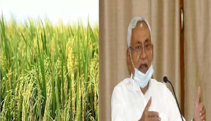 बिहार में चकबंदी 