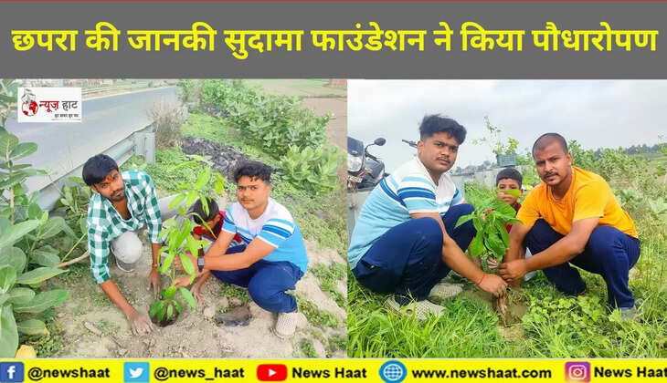 पौधारोपण