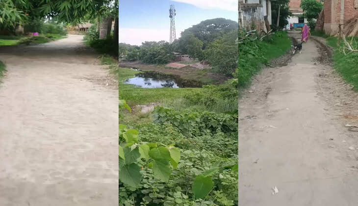 ghotala in madhubani