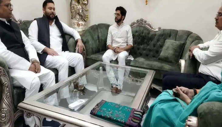 TEJASWI YADAV AND ADITYA THAKRE