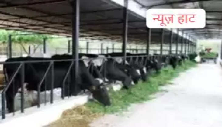 बरसात में पशुओं की देखभाल