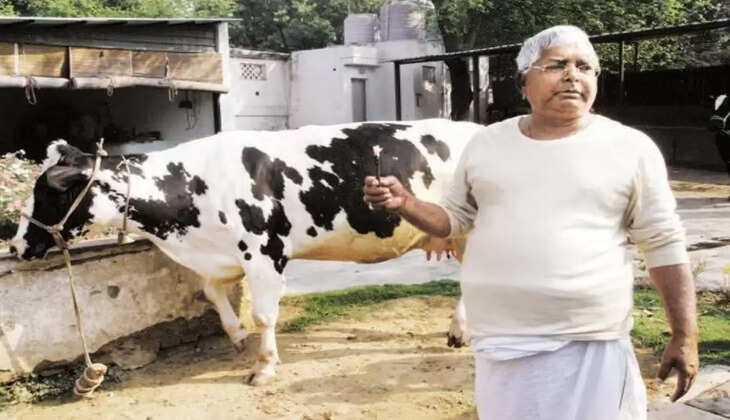 चारा घोटाले की फाइलों पर अब रोज़ गिरेगी अदालत की गाज, सुप्रीम कोर्ट के निर्देश के बाद स्पीड ट्रायल शुरू