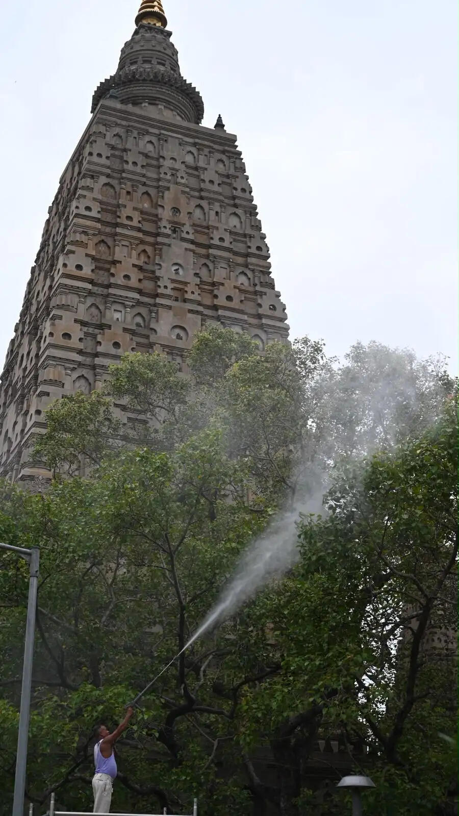 Gaya