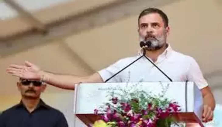 राहुल गांधी को देश के 200 कुलपतियों और प्राध्यापकों ने लिखा ओपन लेटर, जानें क्या है मामला 