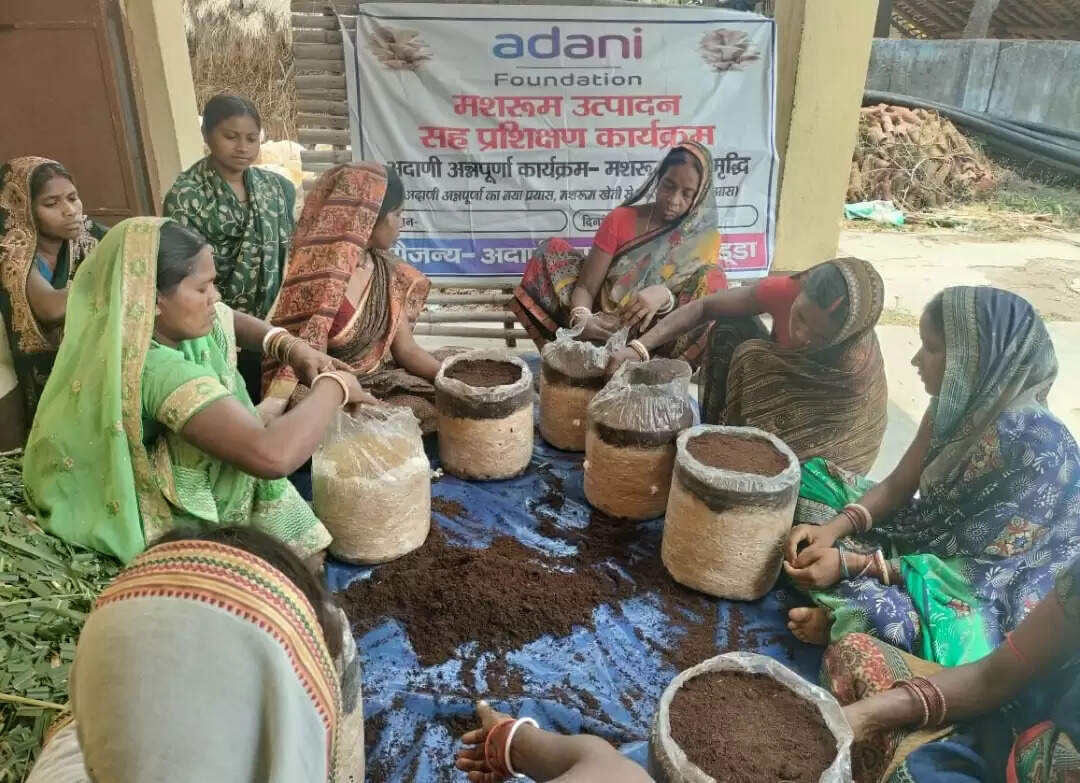 40 डिग्री गर्मी में मशरूम उपजा रही हैं गोड्डा की महिलाएं, अदाणी फाउंडेशन से मिली ट्रेनिंग से हो रहीं आत्मनिर्भर