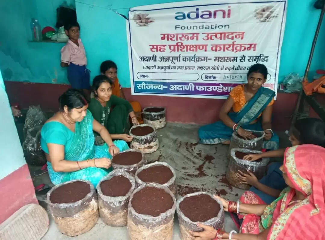40 डिग्री गर्मी में मशरूम उपजा रही हैं गोड्डा की महिलाएं, अदाणी फाउंडेशन से मिली ट्रेनिंग से हो रहीं आत्मनिर्भर