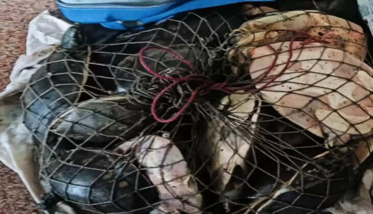 पटना रेल पुलिस ने अमृतसर-हावड़ा एक्सप्रेस में की छापेमारी, दुर्लभ प्रजाति के 22 कछुए और विदेशी शराब बरामद